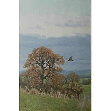 Woodcock in Autumn by Alistair Makinson