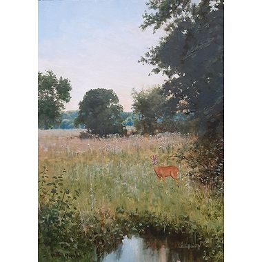 Early Evening Roe by Alistair Makinson