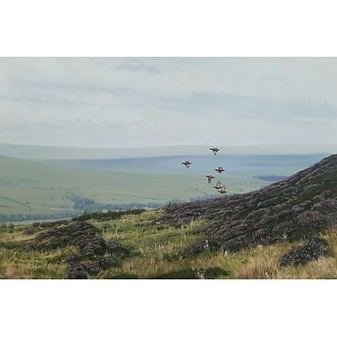 Crossing Grouse by Alistair Makinson