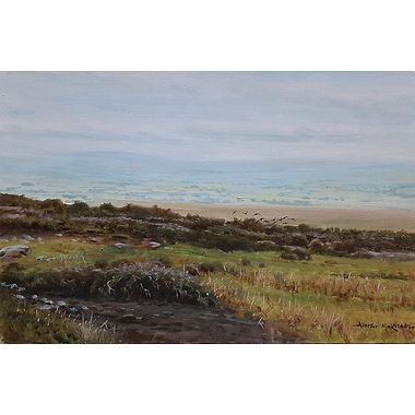 Towards the Gons by Alistair Makinson
