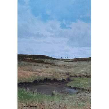 Oncoming Grouse by Alistair Makinson