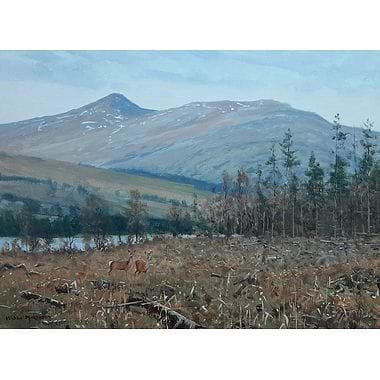 Red Hinds in Clearing, Glen Lyon by Alistair Makinson