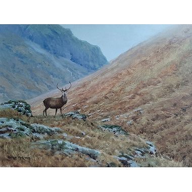 Lone Stag by Alistair Makinson