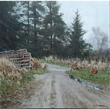 Red  Deer on the Track by Alistair Makinson