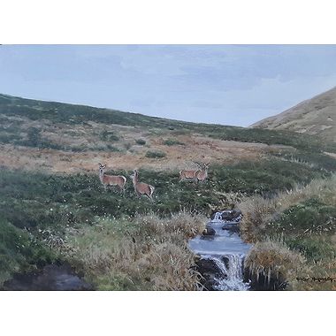Hinds by the Burn by Alistair Makinson