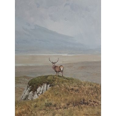 Lone Stag by Alistair Makinson