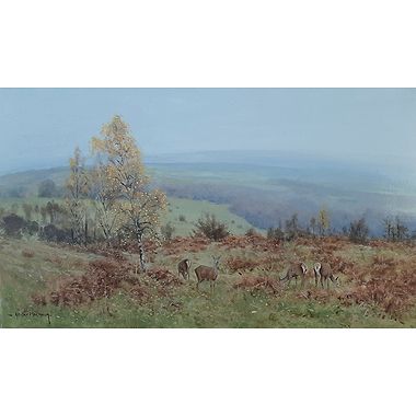 Late Season Hinds by Alistair Makinson