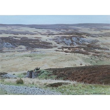 Grouse shooting, Gunnerside by Alistair Makinson