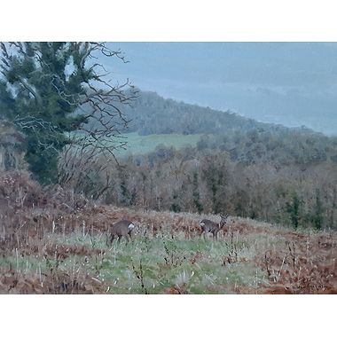 December Roe by Alistair Makinson