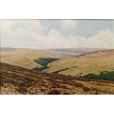 Grouse Moor, Grinton by Alistair Makinson