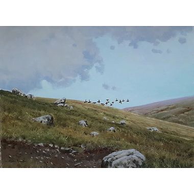 Crossing Grouse by Alistair Makinson