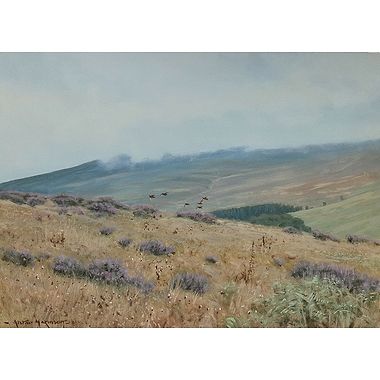 Misty Grouse Moor by Alistair Makinson