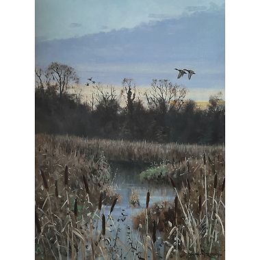 Fighting Malard by Alistair Makinson