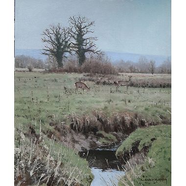 Winter Roe by Alistair Makinson