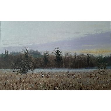 Roe Deer at Dusk by Alistair Makinson