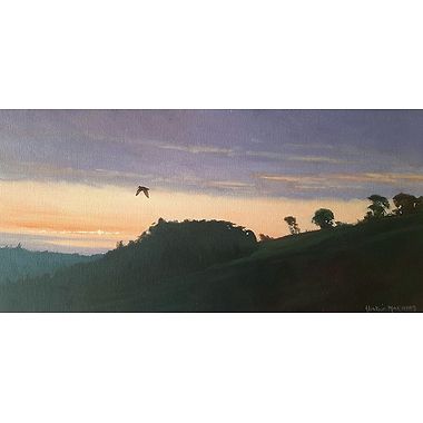 Twilight Woodcock by Alistair Makinson