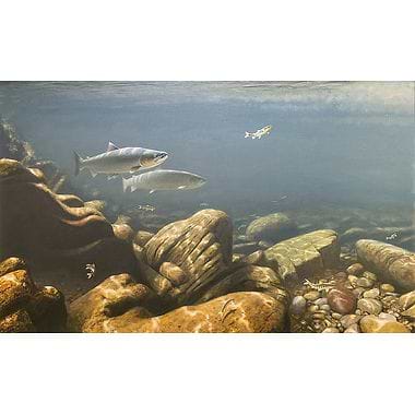 Pair of Salmon by Rodger McPhail