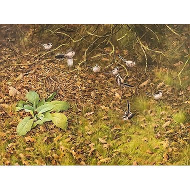 Woodcock and Long Tailed Tits by Rodger McPhail