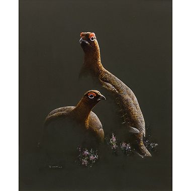 Backlit Grouse by Rodger McPhail