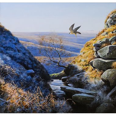Peregrine by Rodger McPhail