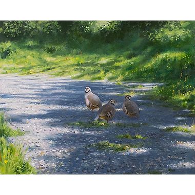 Red Legs on a Track by Rodger McPhail