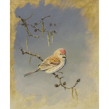 Red Poll by Rodger McPhail