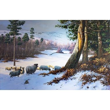 Sheep In The Snow by Rodger McPhail
