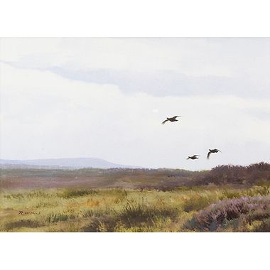 Grouse by Rodger McPhail
