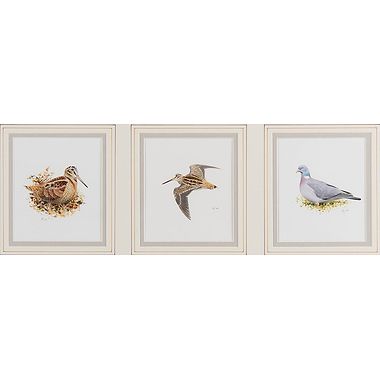 Set of Three – Woodcock, Snipe and Wood Pigeon by Rodger McPhail