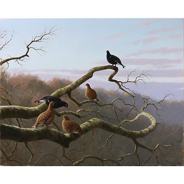 Black Game by Rodger McPhail