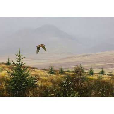 Flying Woodcock by Rodger McPhail