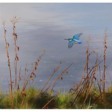 Kingfisher by Rodger McPhail
