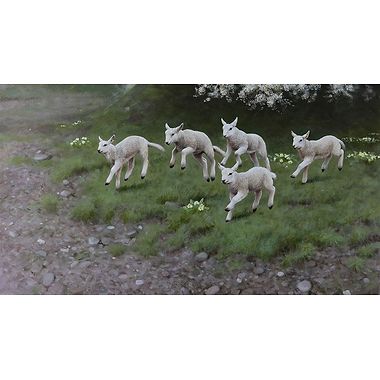 Spring Lambs by Rodger McPhail