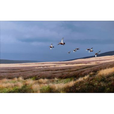 Driven Grouse by Rodger McPhail