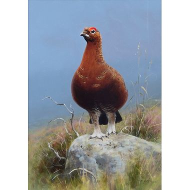 Grouse on a Rock by Rodger McPhail