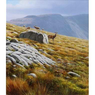 Deer In The Highlands by Rodger McPhail