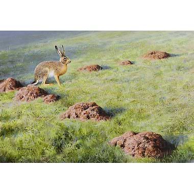 Hare by Rodger McPhail
