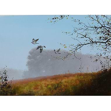 Woodpigeons by Rodger McPhail