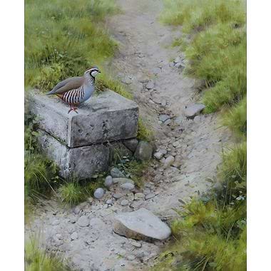 Red Leg by Rodger McPhail