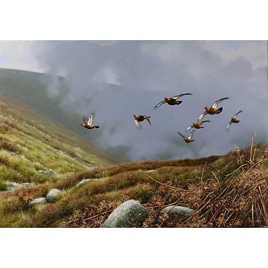 Grouse in the Highlands by Rodger McPhail