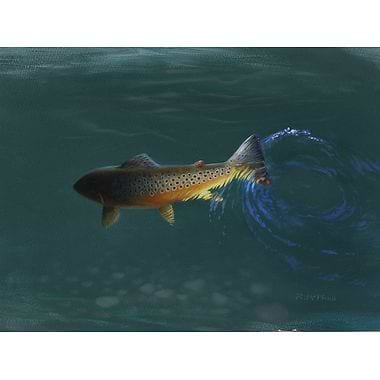 Trout, Dark Blue by Rodger McPhail