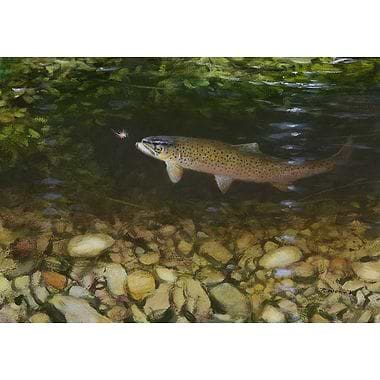Trout Taking a Fly by Rodger McPhail