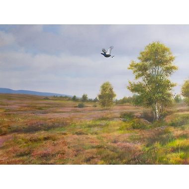 Blackcock by Rodger McPhail