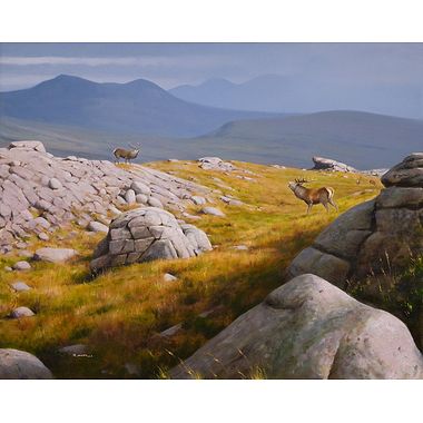 Two Stags by Rodger McPhail