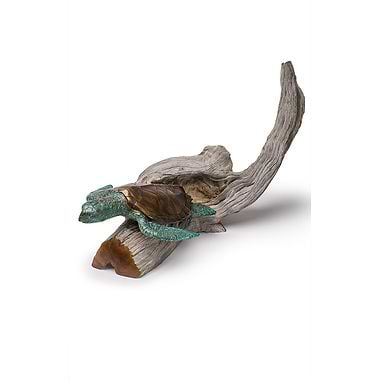 Medium Turtle I on Driftwood  by Pete Johnston