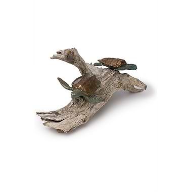 Young Turtles on Driftwood  by Pete Johnston