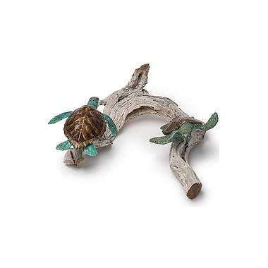 Double Turtles on Driftwood  by Pete Johnston