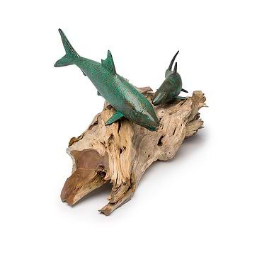 Training Bonefish on Driftwood  by Pete Johnston