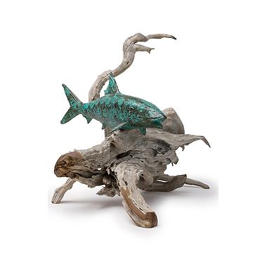 Single Bonefish on Driftwood  by Pete Johnston