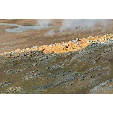 Hinds Procession, Beinn Eighe by Alastair Proud